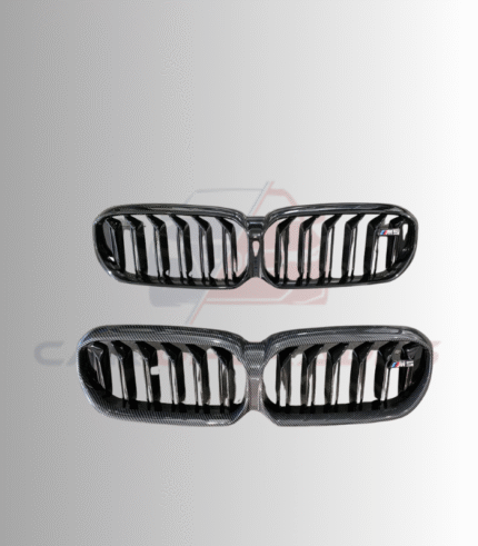 BMW front Kidney grilles